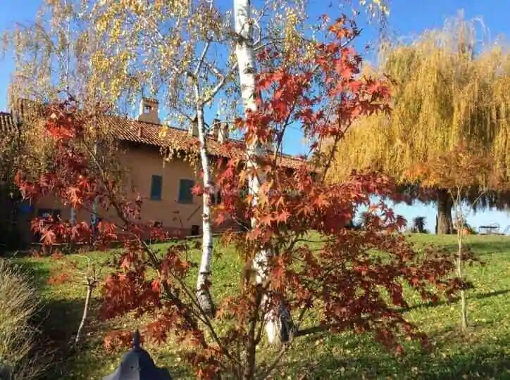 Come Aprire Un Bed And Breakfast